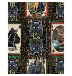 Cartes Bicycle - Cats