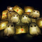 Guirlande Lumineuse Harry Potter Hedwige et Lettre