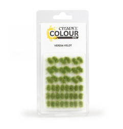 Touffes d’herbe Verdia Veldt
