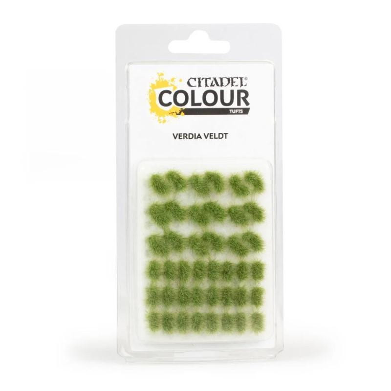 Touffes d’herbe Verdia Veldt