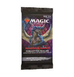 MTG Booster d'extension D&D Forgotten Realms
