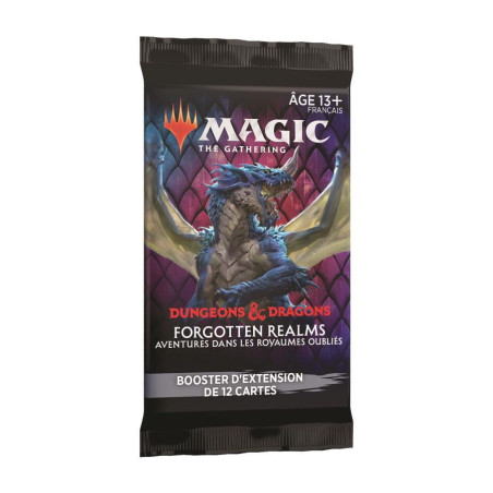 MTG Booster d'extension D&D Forgotten Realms