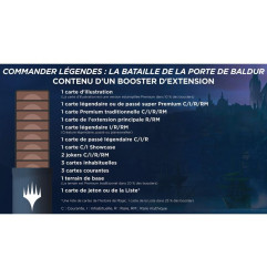 Display de Booster d'ext. D&D Porte de Baldur