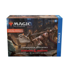 Bundle D&D Porte de Baldur
