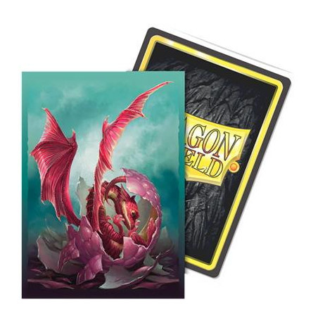 Sleeves Dragon Shield Art Wyngs (x100)
