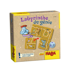 Labyrinthe du génie