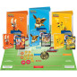 Pokemon : Coffret Académie de Combat v2