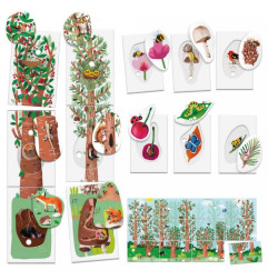 Flashcards My First Nature