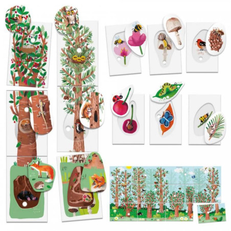 Flashcards My First Nature