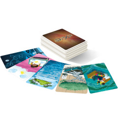 Dixit 10 - Mirrors (ext.)