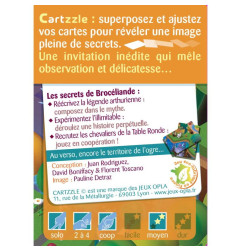 Cartzzle - Brocéliande illimitable
